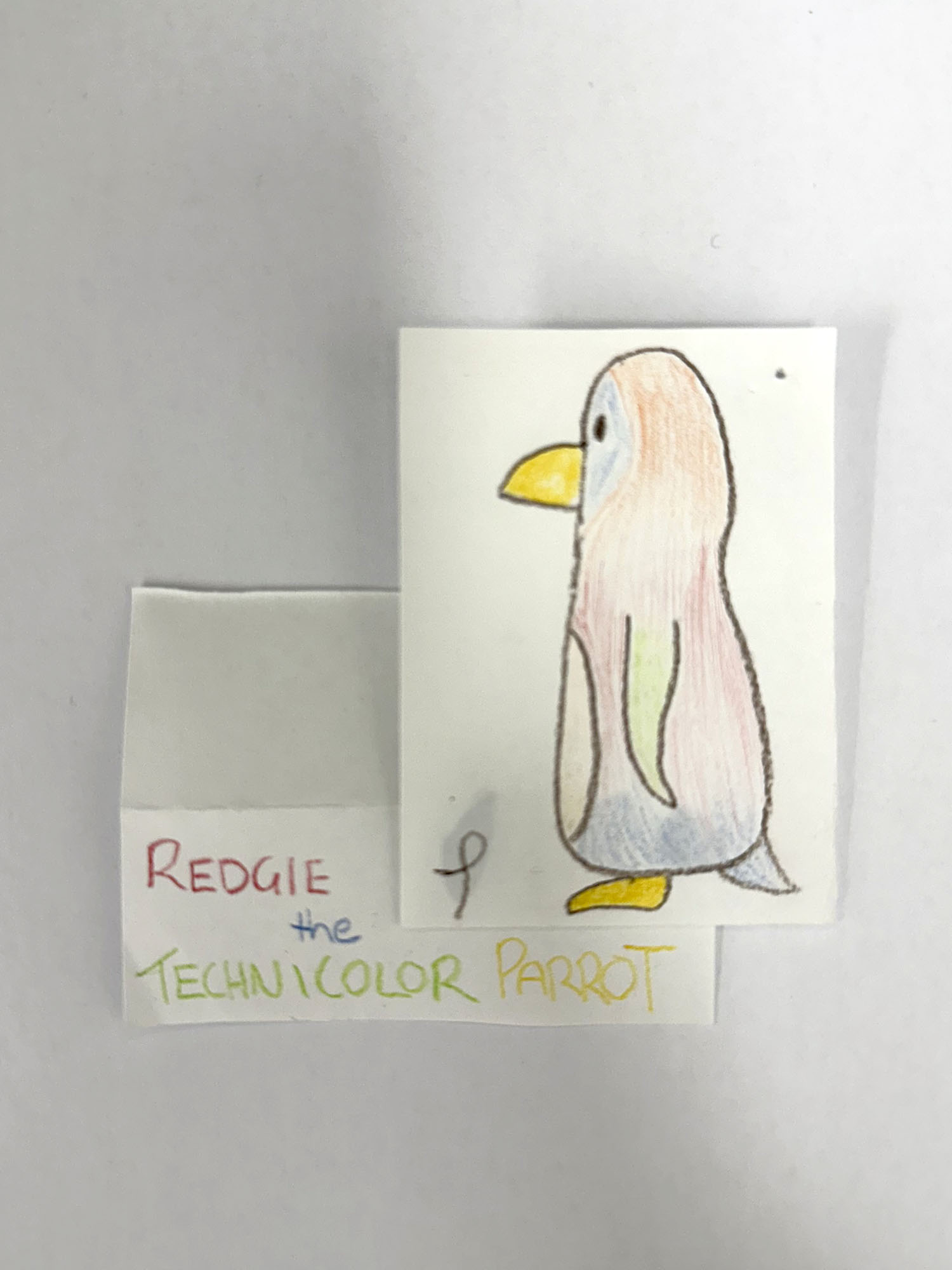 Artwork by Tom M. A drawing of a rainbow penguin in coloured pencil. The penguin has an orange, blue, red, and green body, and a yellow beak and feet. Below the drawing is a label that reads 'Redgie the Technicolour Parrot'. Click to view full image.